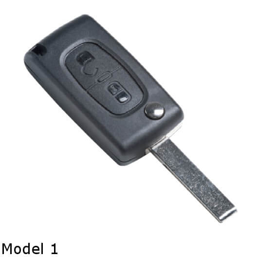gegevens Ijdelheid Kalmte Peugeot 307 Sleutel | Sleutelbehuizing 2 knoppen