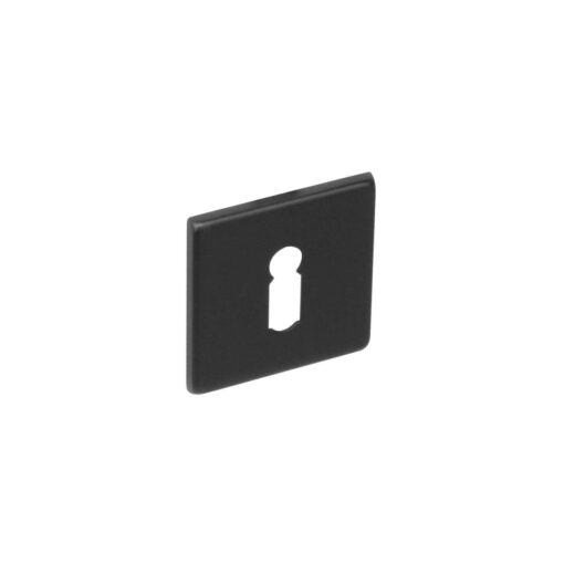 Intersteel Rozet sleutelgat vierkant INOX geborsteld mat zwart