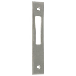 Iseo RVS sluitplaat 038096_1